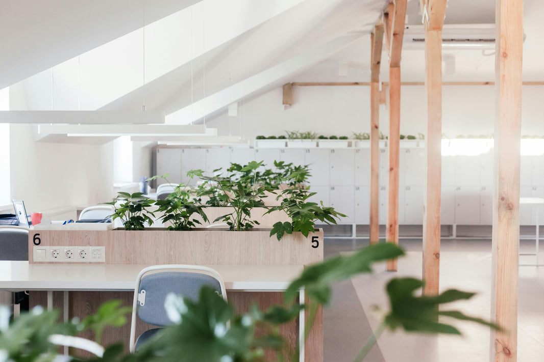 Modern New Zealand office with ergonomic chairs and desks after fit-out.