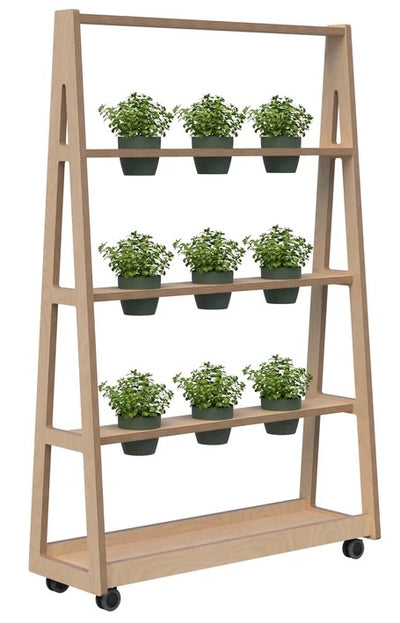 Arcus Room Dividers - 5 Configurations