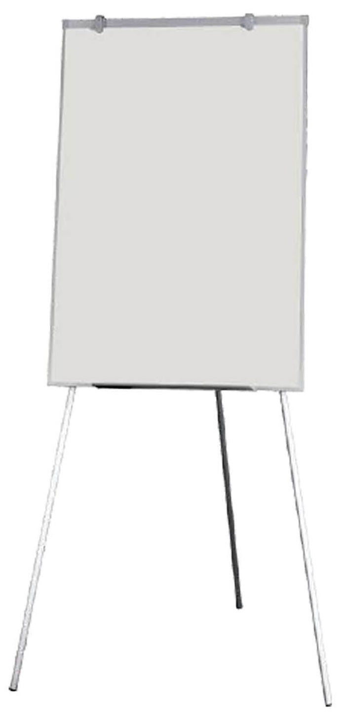 Litewyte Whiteboard and Easel