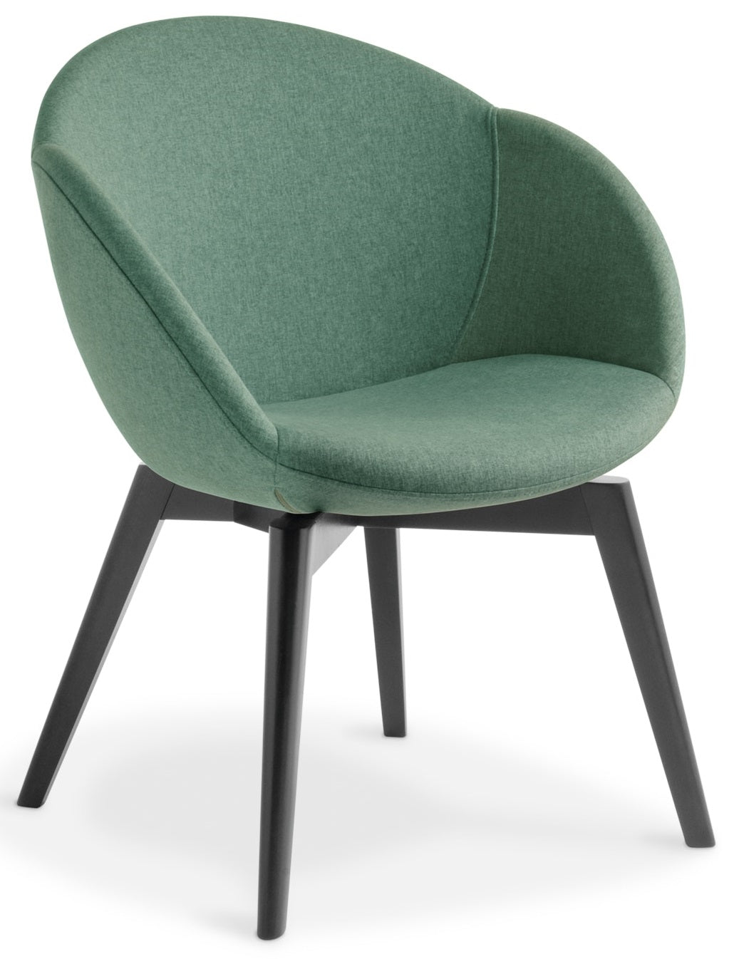 Amelia Visitor Chair with Black Timber Base