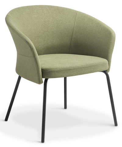 Clove Visitor Chair with Black 4-Leg Base - 3 Colour Options