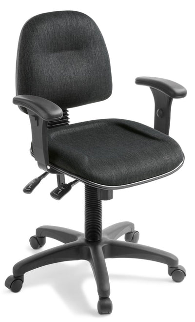 Graphic Midback Ergonomic Office Chair - 2 and 3 Lever Options