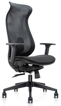 Cygnet Mesh Back Ergonomic Office Chair