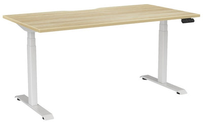 Haven Sit/Stand Electric Height Adjustable Desk with Scalloped Top - 4 Sizes
