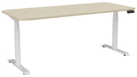 Haven Sit/Stand Electric Height Adjustable Desk with Radius Corners - 4 Sizes