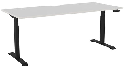 Haven Sit/Stand Electric Height Adjustable Desk with Scalloped Top - 4 Sizes