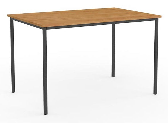Ergoplan Multi-purpose Table in Tawa - 1200mm x 600mm