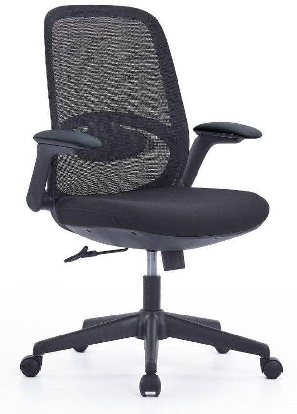Radar 2 Mesh Back Chair - 2 Colour Options